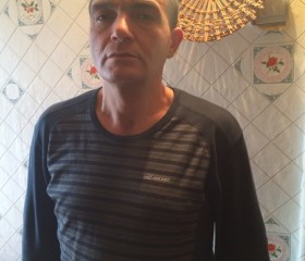 Михаил, 51 год, Воронеж