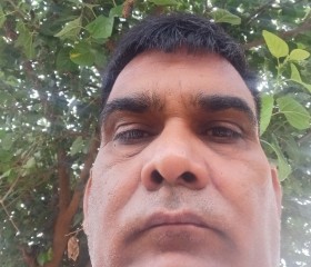 Surajbhan singh, 51 год, New Delhi