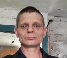 Николай Калтан, 45 лет, Осинники