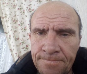 Андрей, 50 лет, Зверево