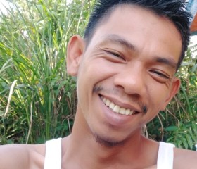 Dewa, 35 лет, Kota Pekanbaru