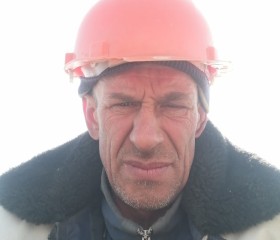 Федор Шлейн, 51 год, Нижний Тагил