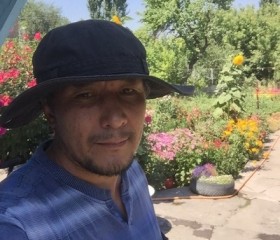 Рустам, 48 лет, Бишкек