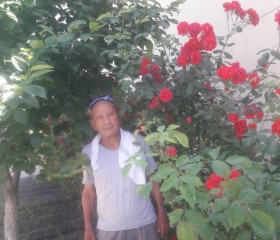 ODILBEK RUSTAMOV, 64 года, Qo‘qon