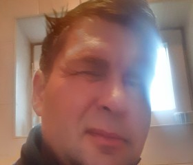 Zsolt, 44 года, Oradea