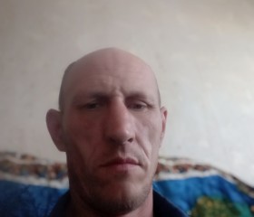 Алексей, 44 года, Заволжье