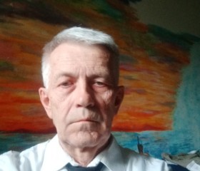 Андрёй, 64 года, Иркутск
