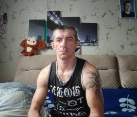Дмитрий, 41 год, Горад Астравец