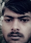 Himanshu, 26 лет, Delhi