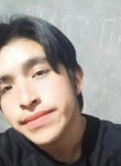 Brayan, 19 лет, Lima