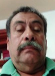 Ariel, 54 года, Aguascalientes