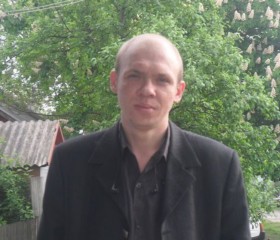 Алексей, 42 года, Лозова