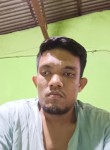 angga Sihombing, 27 лет, Kota Medan