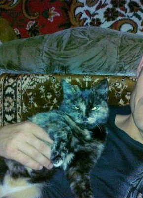 ВЛАДИМИР, 43, Россия, Новосибирск