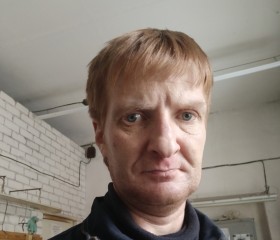 Александр Дигол, 47 лет, Тверь