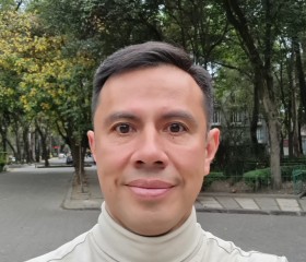 Manuel Bautista, 45 лет, México Distrito Federal