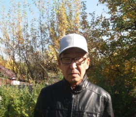 Темирлан, 61 год, Алматы