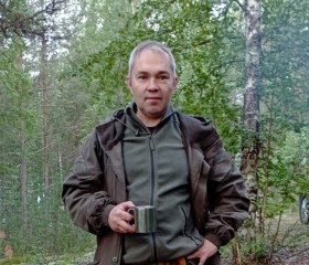 Андрей, 54 года, Кировск (Мурманская обл.)