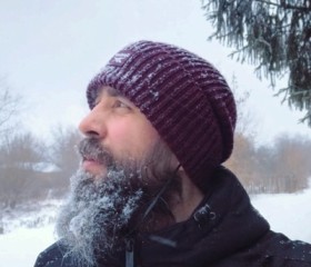 Михаил, 39 лет, Пушкинские Горы