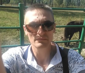 Лев, 47 лет, Москва