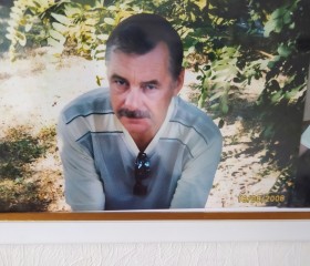 Николай Каленик, 66 лет, Берасьце