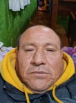 Manuel, 53 года, Santiago de Chile