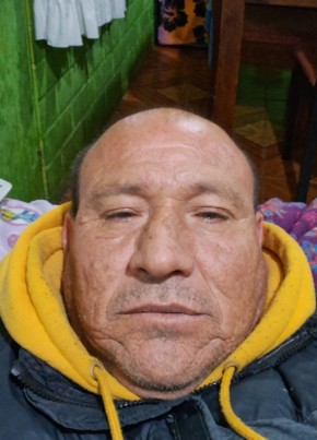 Manuel, 53, República de Chile, Santiago de Chile