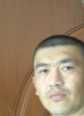 Elbek, 39, O‘zbekiston Respublikasi, Toshkent