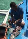 silvermike, 53 года, Lungsod ng Puerto Princesa