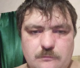 Виктор Никитин, 36 лет, Оренбург