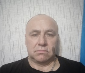 Виктор Пенюшин, 56 лет, Железногорск (Курская обл.)