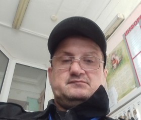Александр Егоров, 50 лет, Амурск