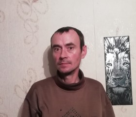 Сергей, 46 лет, Шадринск