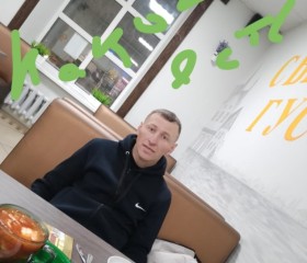 Дмитрий, 38 лет, Гусь-Хрустальный