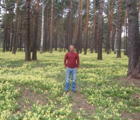 Иван, 41 год, Кемерово