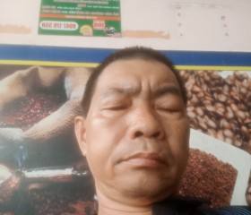 Lê Vũ Hải, 53 года, Bến Tre