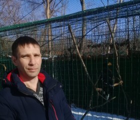 Aleksandr, 43 года, Арсеньев
