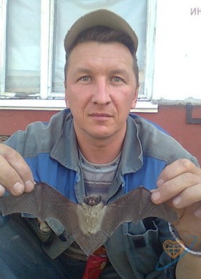 вячеслав, 53, Россия, Гатчина