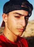 Amir, 20 лет, تِهران
