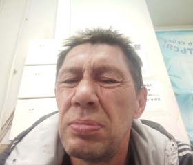 Анатолий, 52 года, Курган