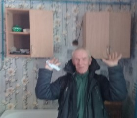 Анатолий, 67 лет, Воронеж