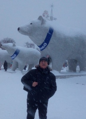 Андрей, 67, Россия, Тюмень