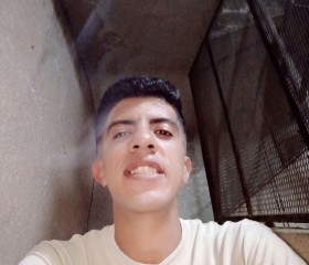 Mostafa, 29, Cairo