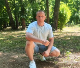 Рома, 36 лет, Ростов-на-Дону