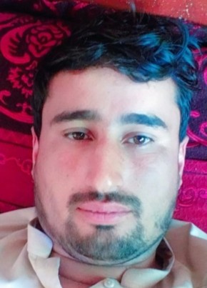 Akhtar Hussain S, 28, جمهورئ اسلامئ افغانستان, کابل