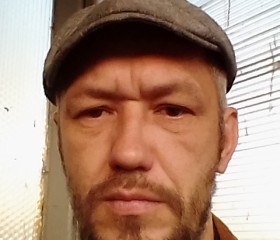 Vladimir, 48 лет, Ковров