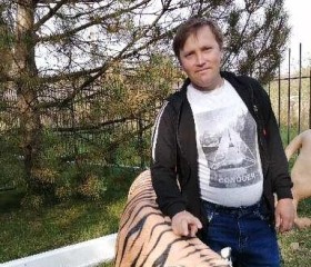 Сергей, 41 год, Михайловская