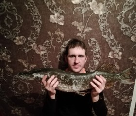 Олег, 37 лет, Белгород