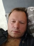 Михаил, 42 года, Котлас