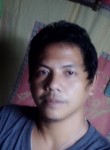 Robert Patigas, 28 лет, Taguig